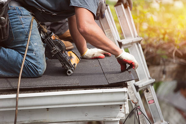 Best Storm Damage Roof Repair  in Dalton, OH